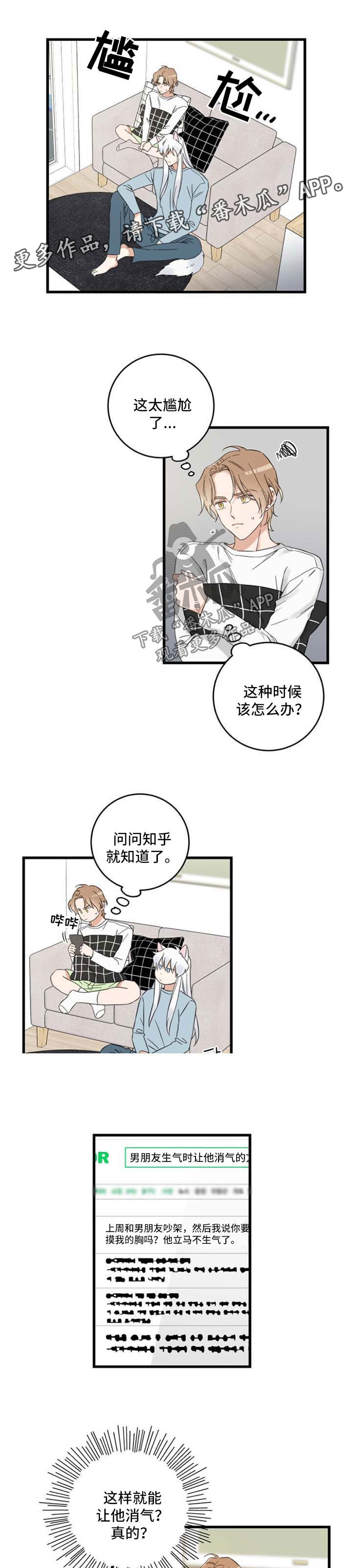 亲爱的喵君漫画里的黑色盒子叫什么漫画,第94章：短信2图