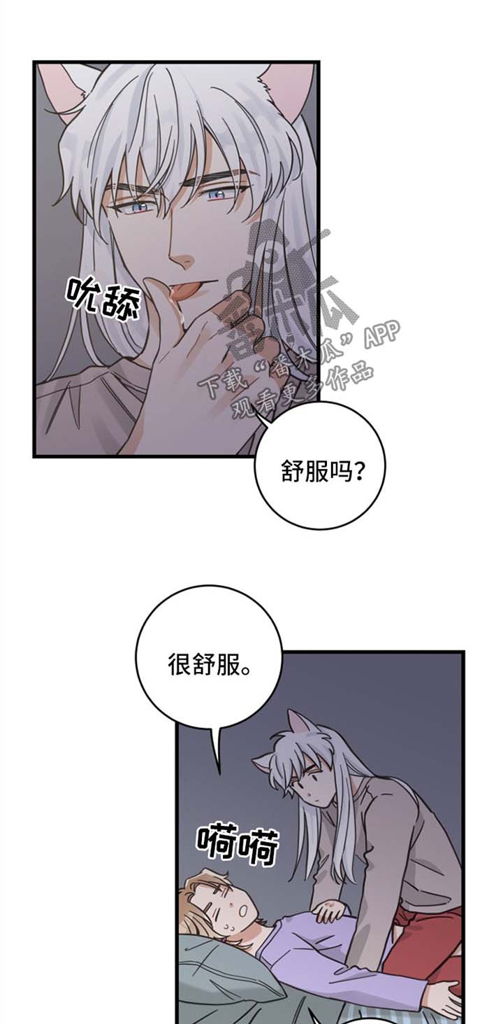 亲爱的喵君漫画里的黑色盒子叫什么漫画,第83章：打扰好事1图