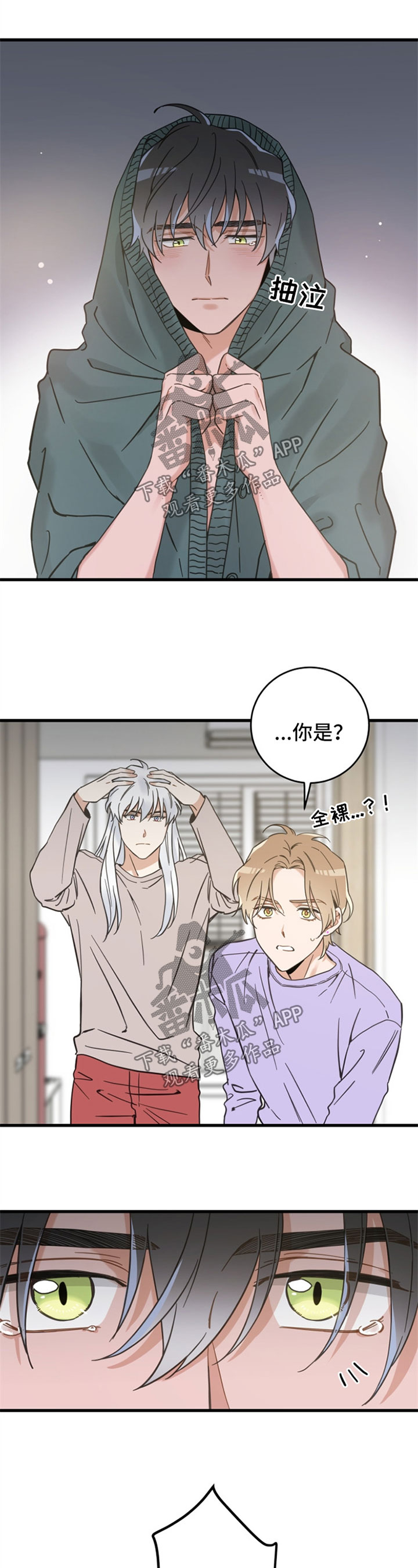 亲爱的喵君漫画里的黑色盒子叫什么漫画,第83章：打扰好事5图