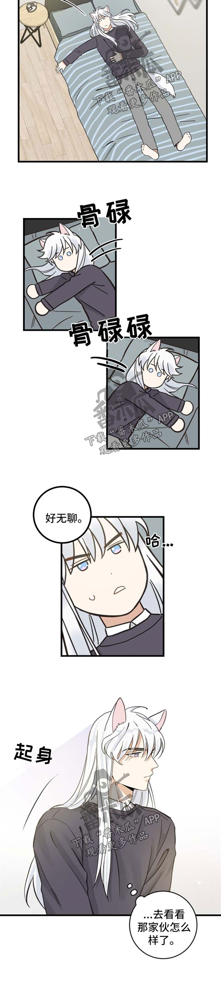亲爱的喵君免费漫画,第77章：串门2图