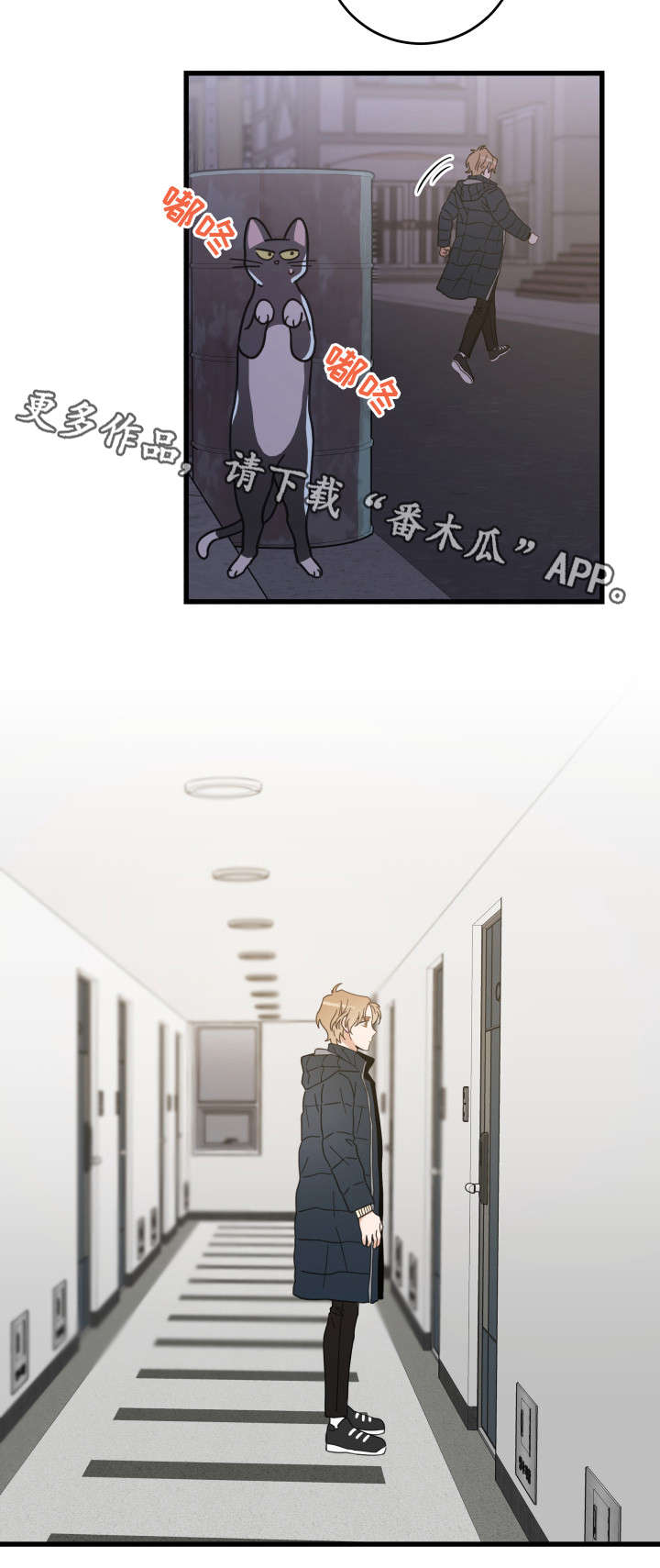 第36章：跟踪3
