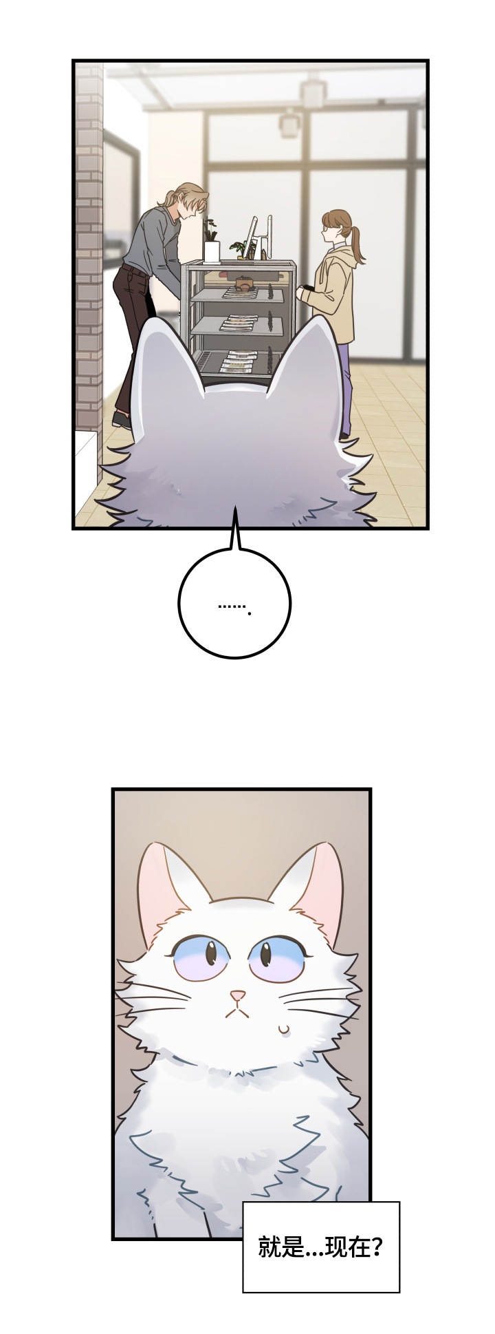 第64章：逃走3