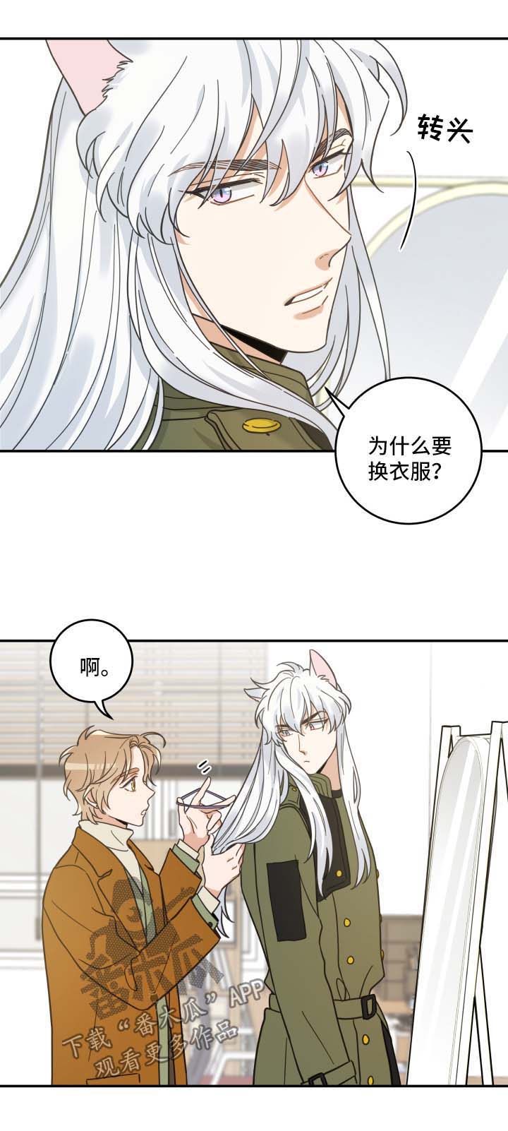 亲爱的喵君漫画,第48章：两人约会5图