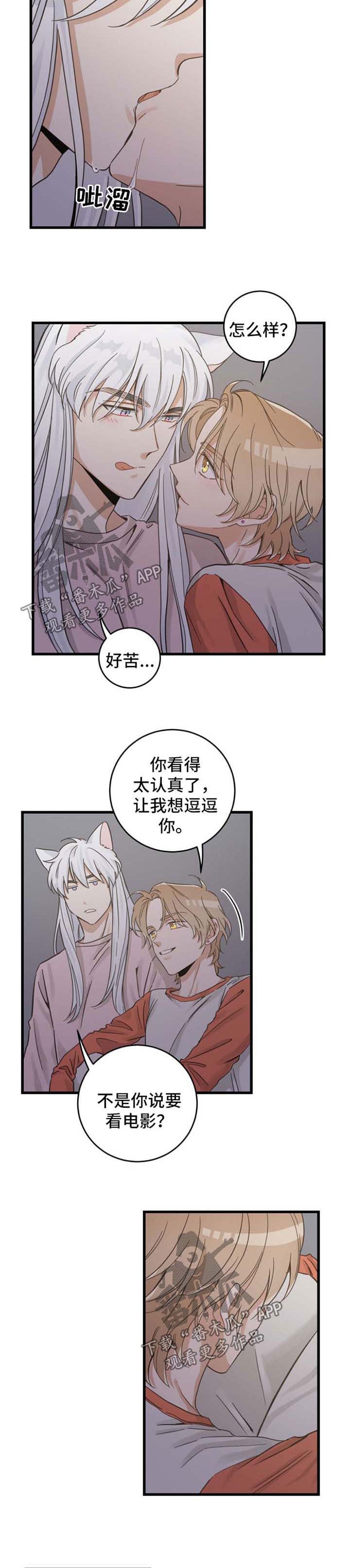 亲爱的喵君漫画,第74章：我们聊聊4图