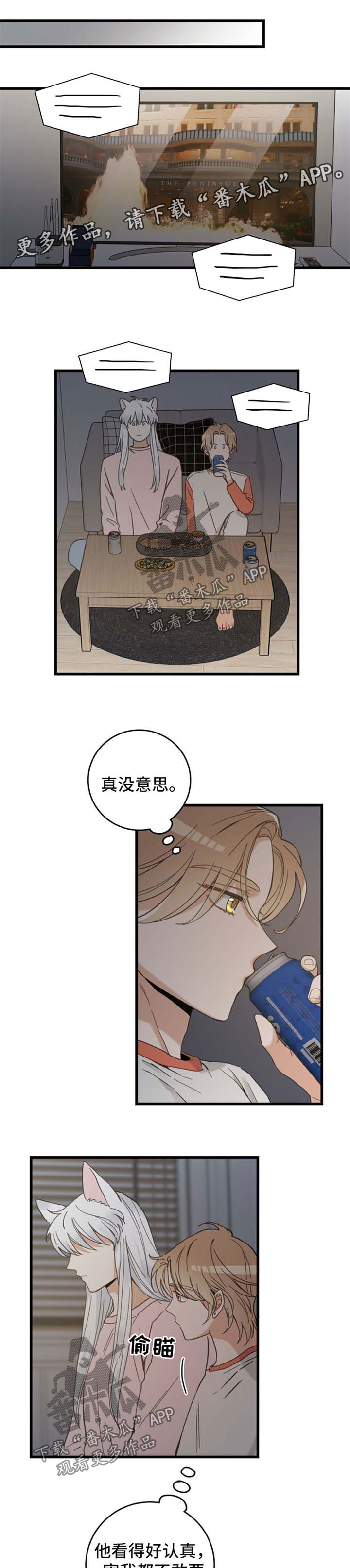 亲爱的喵君漫画,第74章：我们聊聊1图