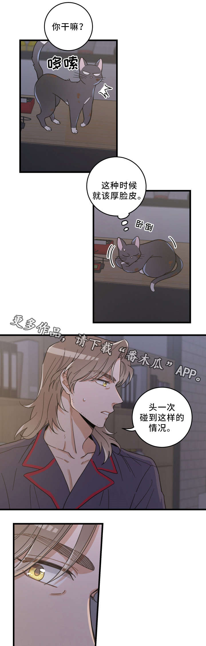 第35章：盯3