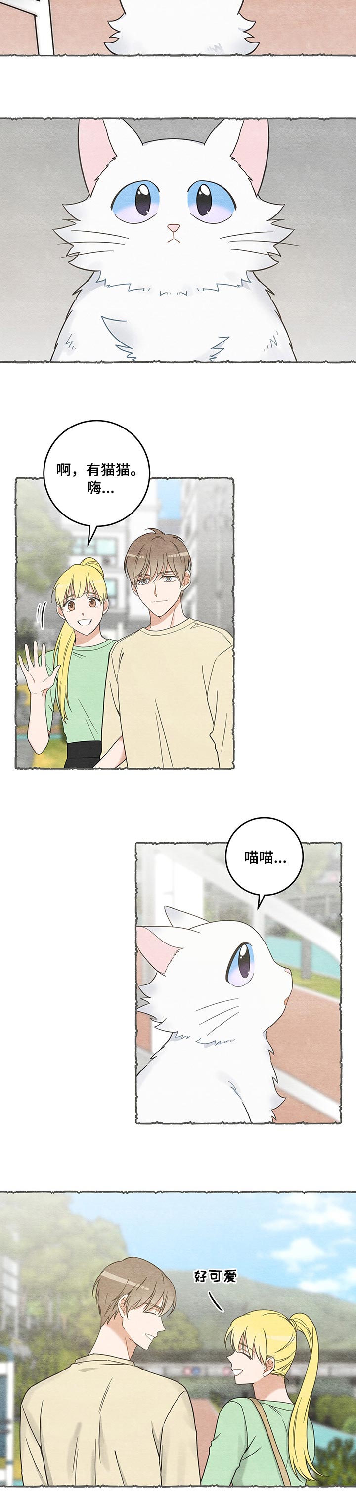 亲爱的喵君免费漫画,第101章：失踪了4图