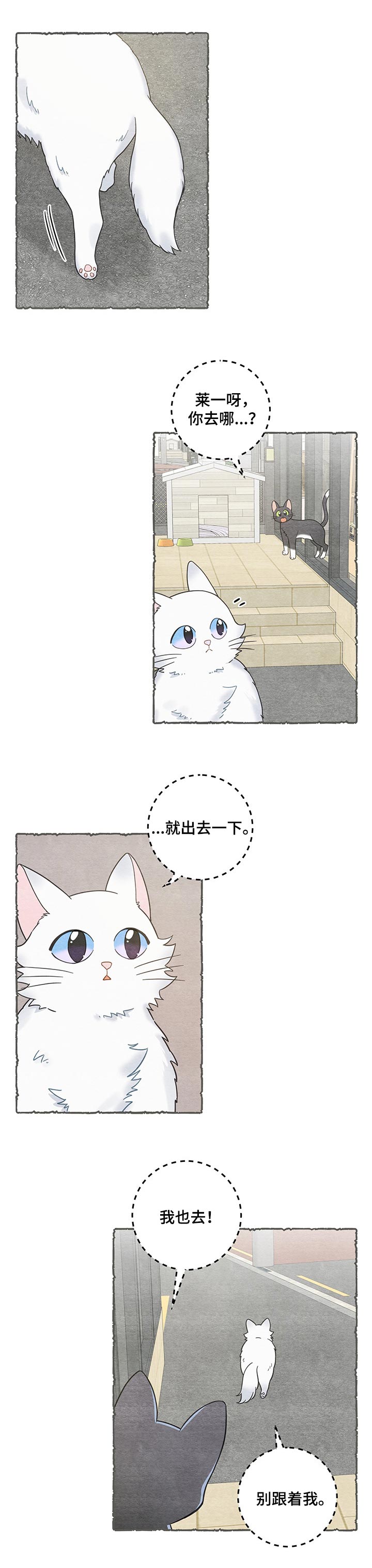 亲爱的喵君免费漫画,第101章：失踪了1图