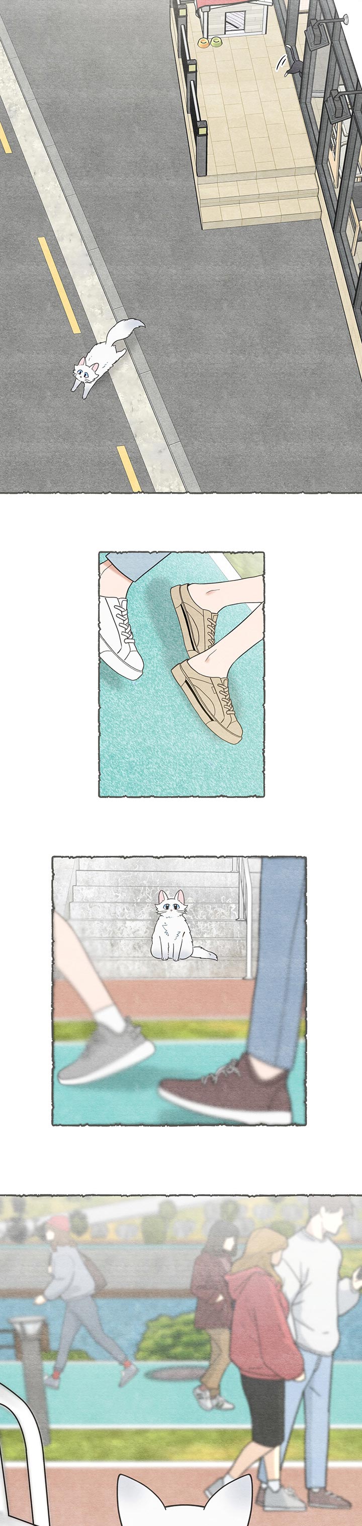 亲爱的喵君免费漫画,第101章：失踪了3图