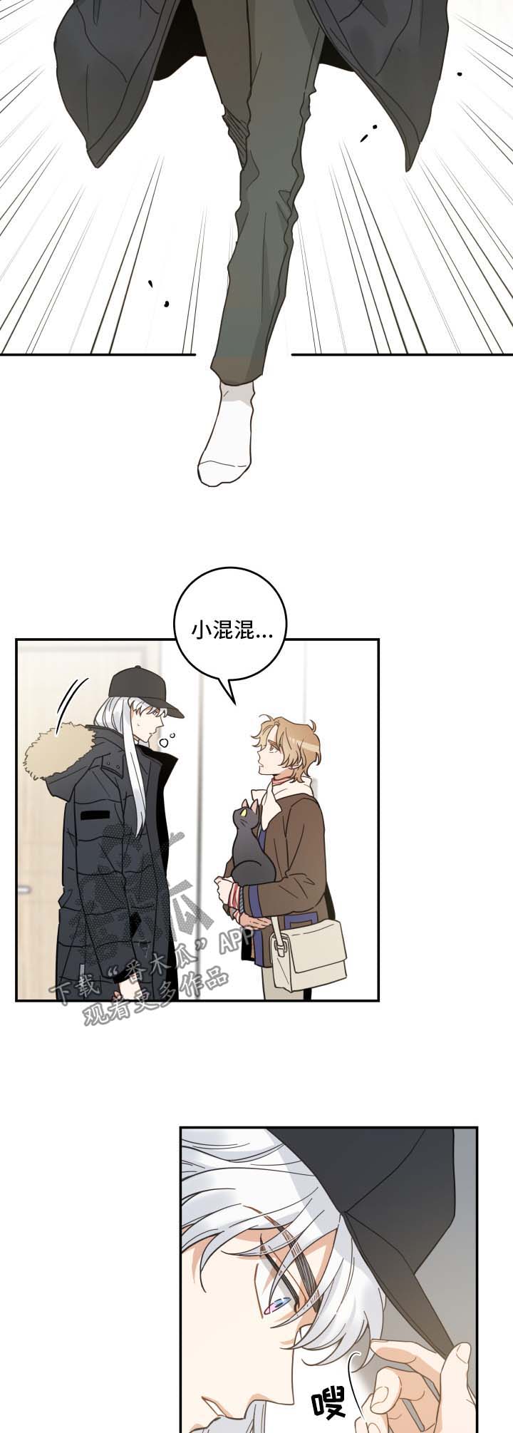 亲爱的喵品牌介绍漫画,第46章：不能一起5图