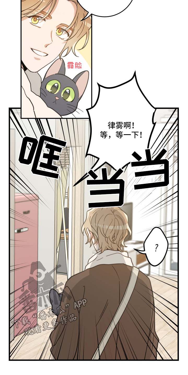 亲爱的喵品牌介绍漫画,第46章：不能一起3图