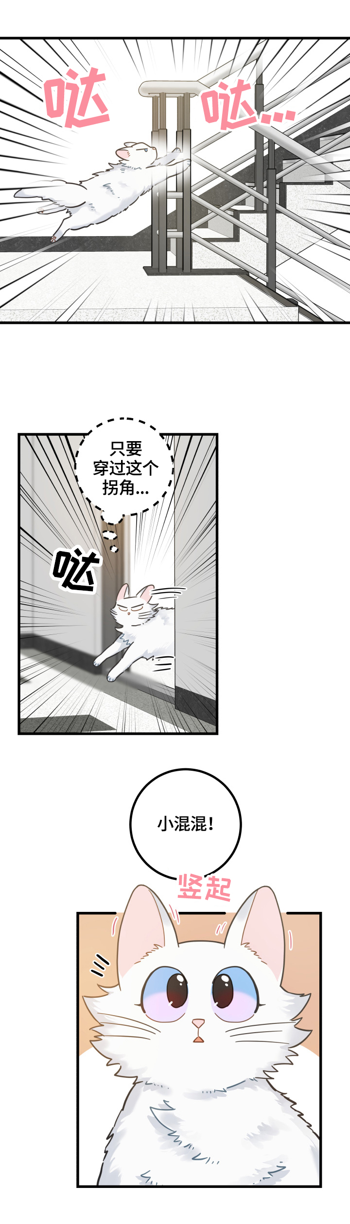 亲爱的喵君免费漫画,第65章：忍不了1图