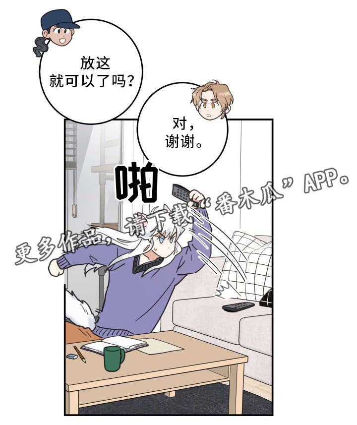 亲爱的宝贝侄女漫画,第11章：钻箱子3图