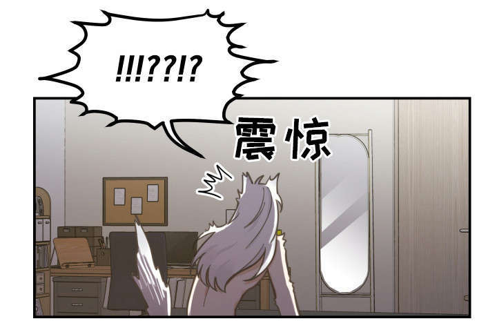 亲爱的翻译官小姐短剧免费观看宋繁星漫画,第3章：梦3图