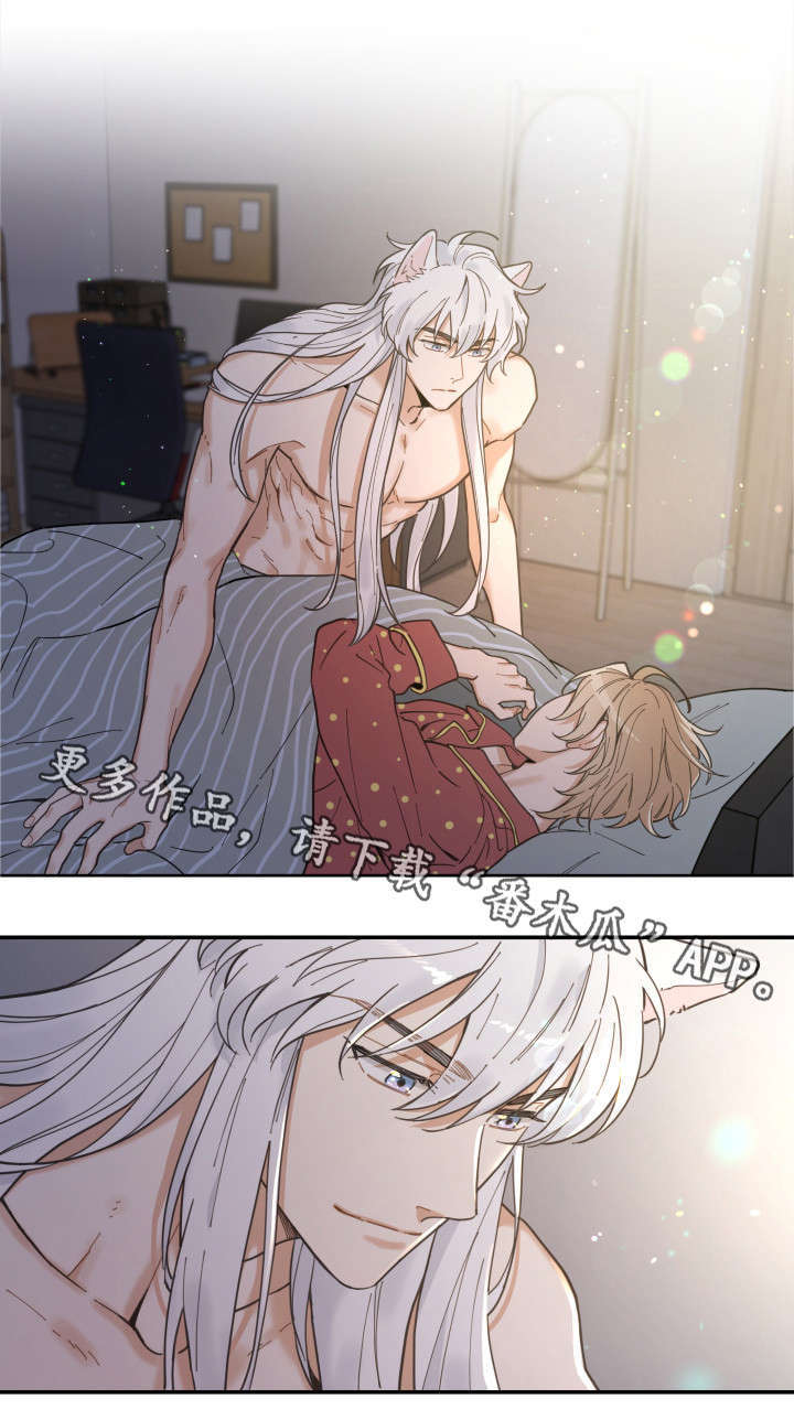 亲爱的翻译官小姐短剧免费观看宋繁星漫画,第3章：梦1图
