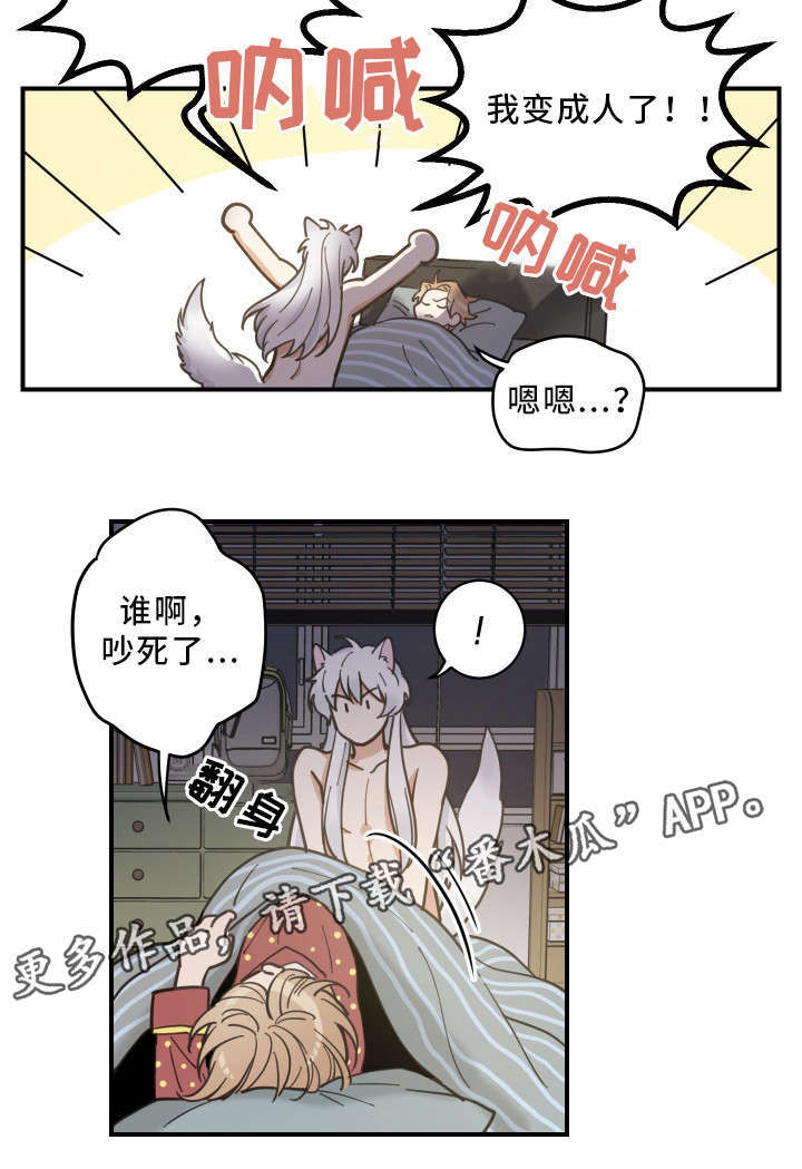 亲爱的翻译官小姐短剧免费观看宋繁星漫画,第3章：梦5图