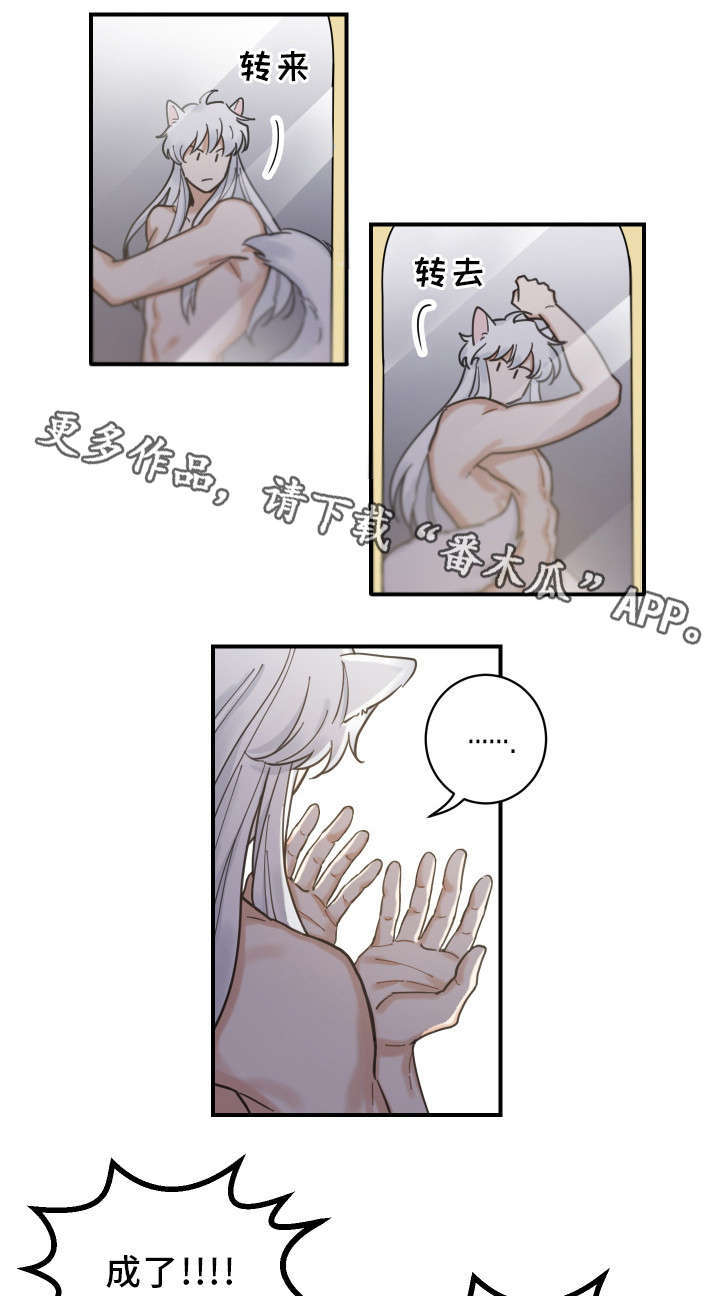 亲爱的翻译官小姐短剧免费观看宋繁星漫画,第3章：梦4图