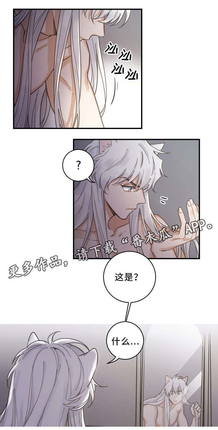 亲爱的翻译官小姐短剧免费观看宋繁星漫画,第3章：梦2图