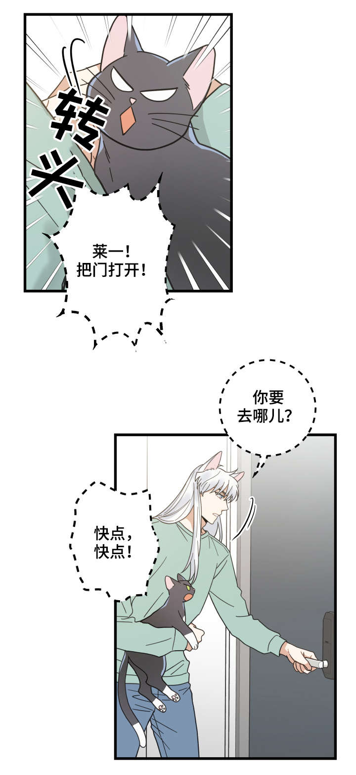 第43章：叔叔0