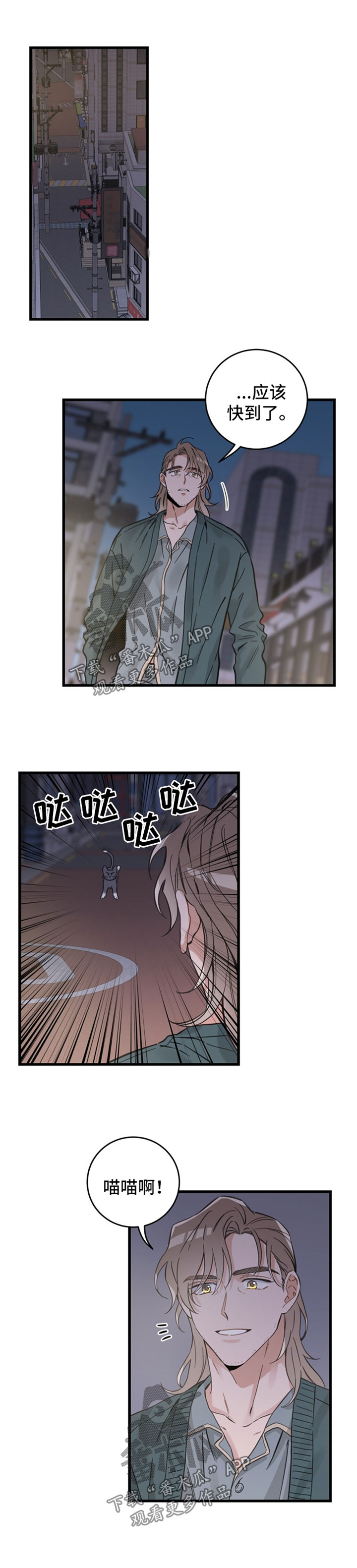 亲爱的喵君漫画里的黑色盒子叫什么漫画,第81章：星星4图
