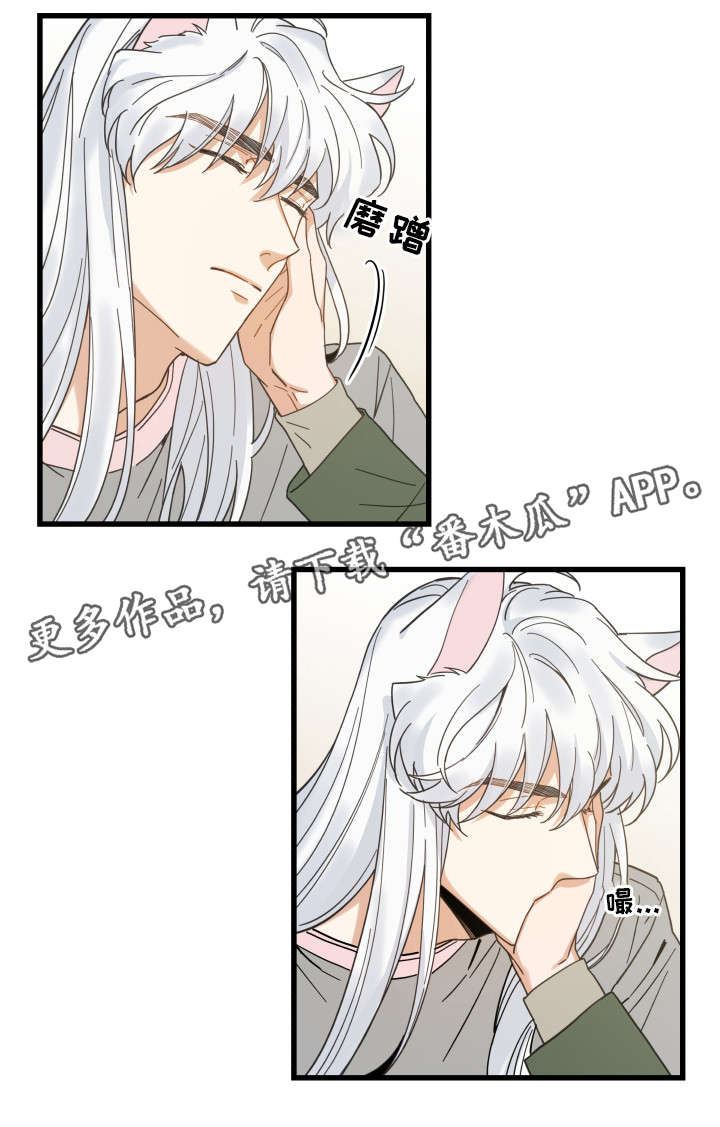 第31章：黑猫1