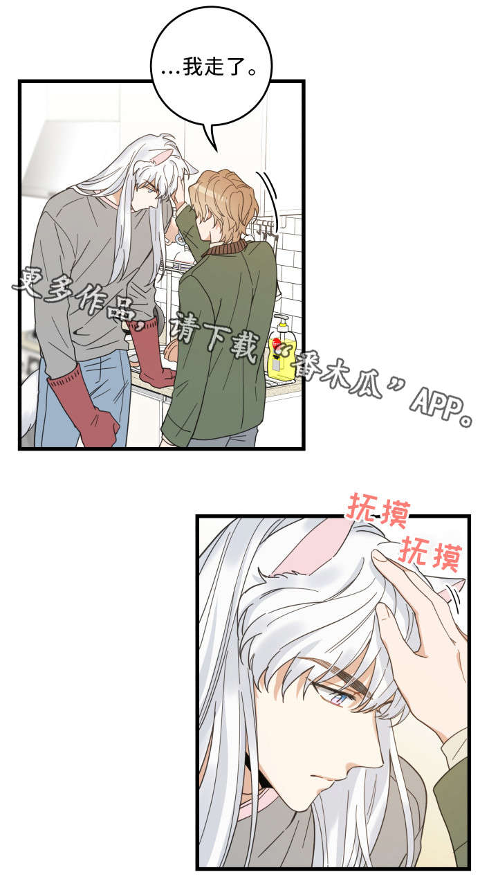 第31章：黑猫0