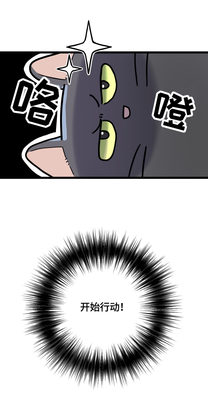 亲爱的喵君免费漫画,第57章：引出5图