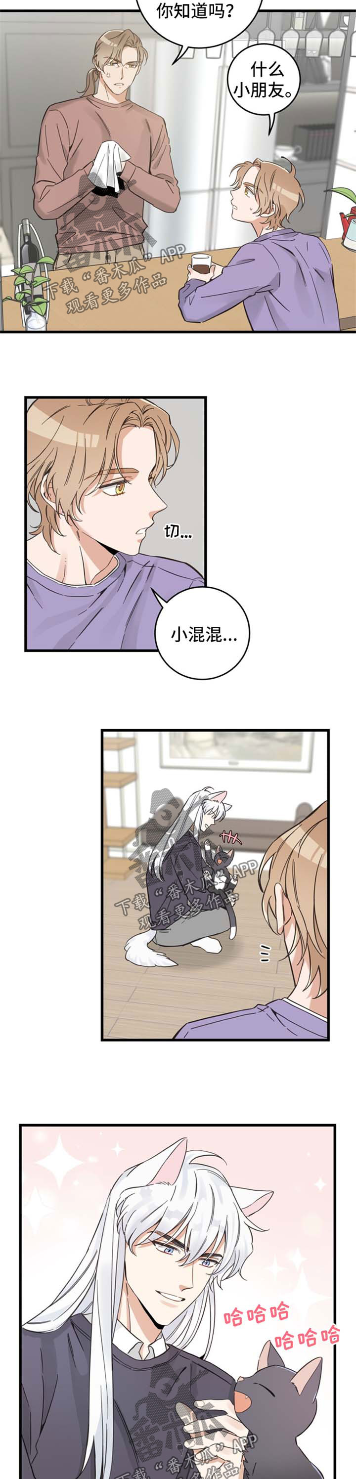 第78章：宠物心得2