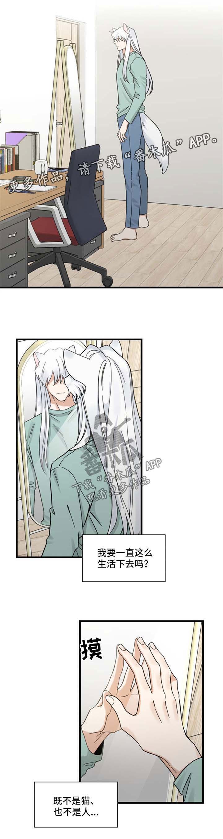 亲爱的喵君全文免费漫画下拉式漫画,第91章：忧愁4图