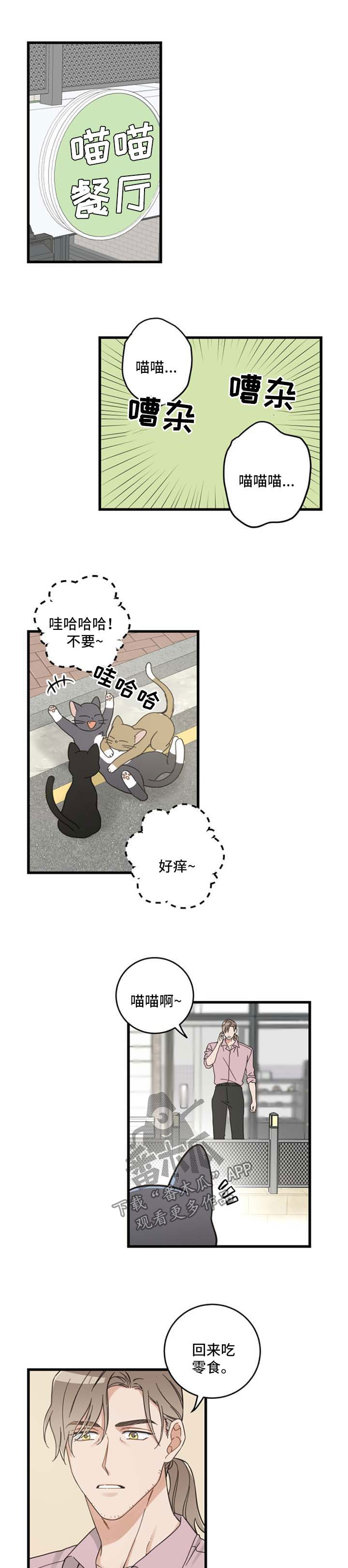 亲爱的喵君全文免费漫画下拉式漫画,第91章：忧愁5图