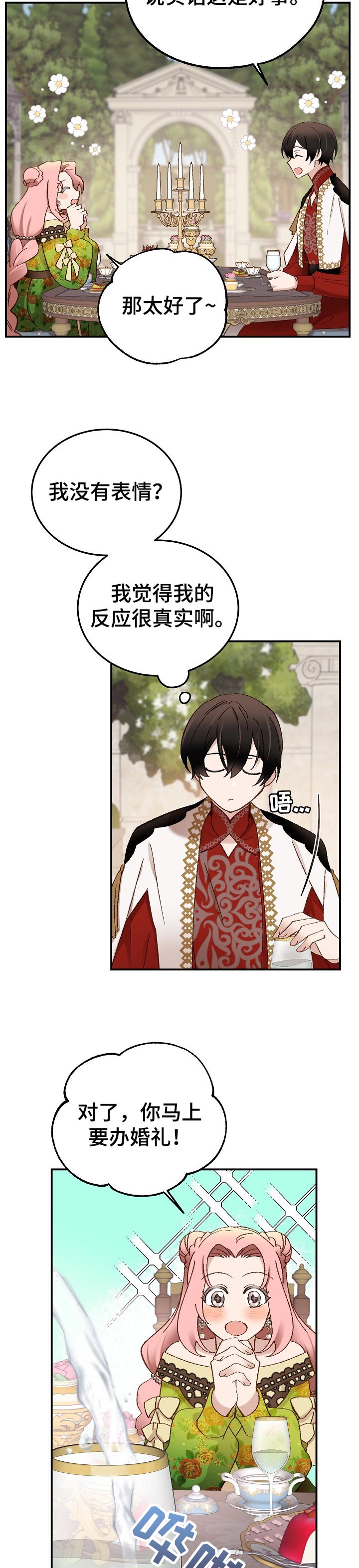 王妃是男人漫画,第28章：茶会3图