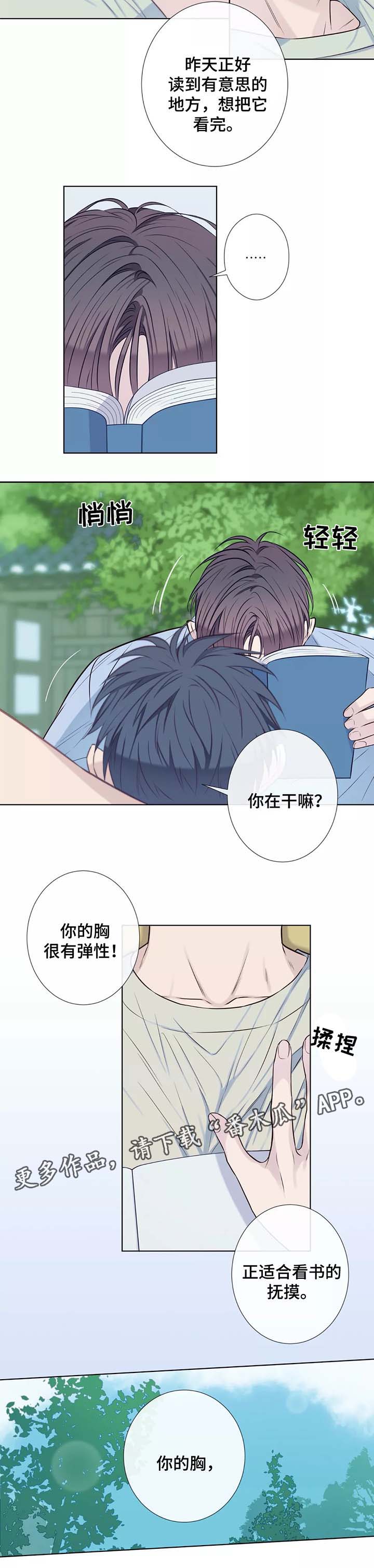 第37章：未来打算2