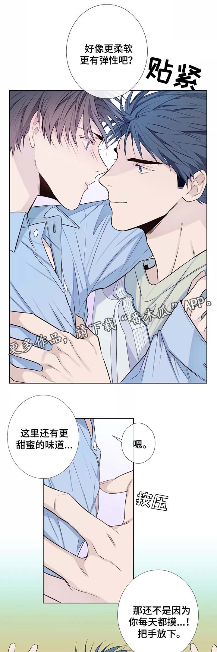 第37章：未来打算3
