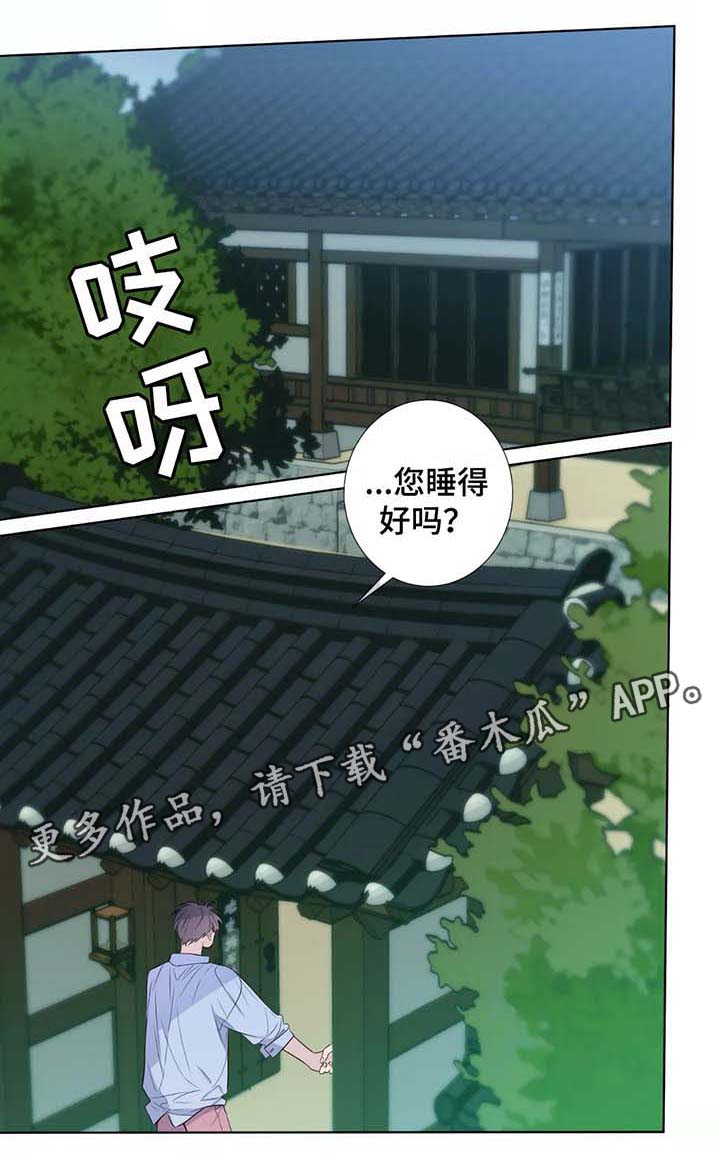 第37章：未来打算0