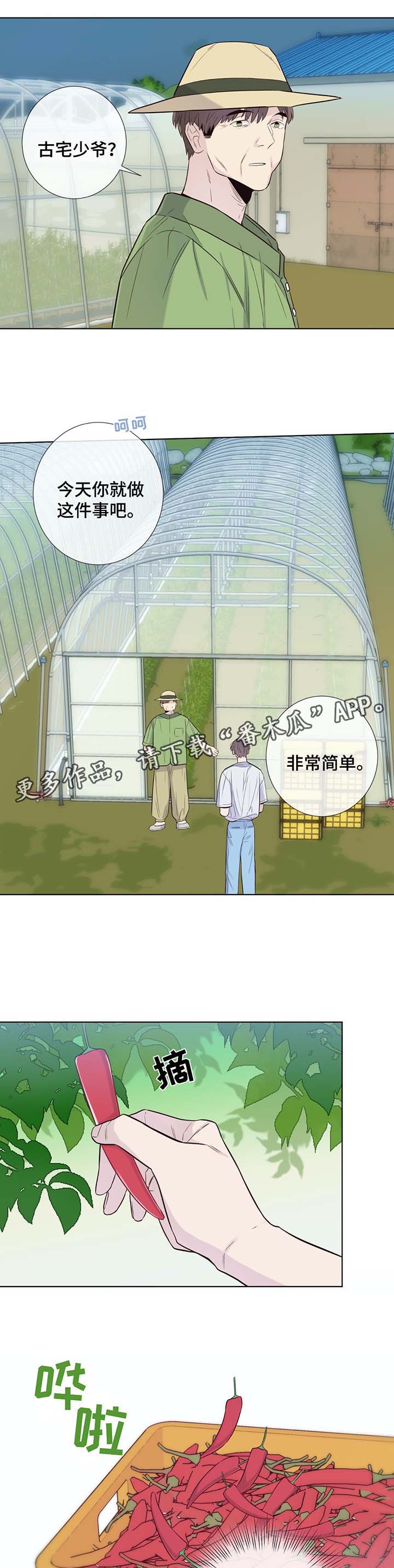 第30章：收获辣椒3