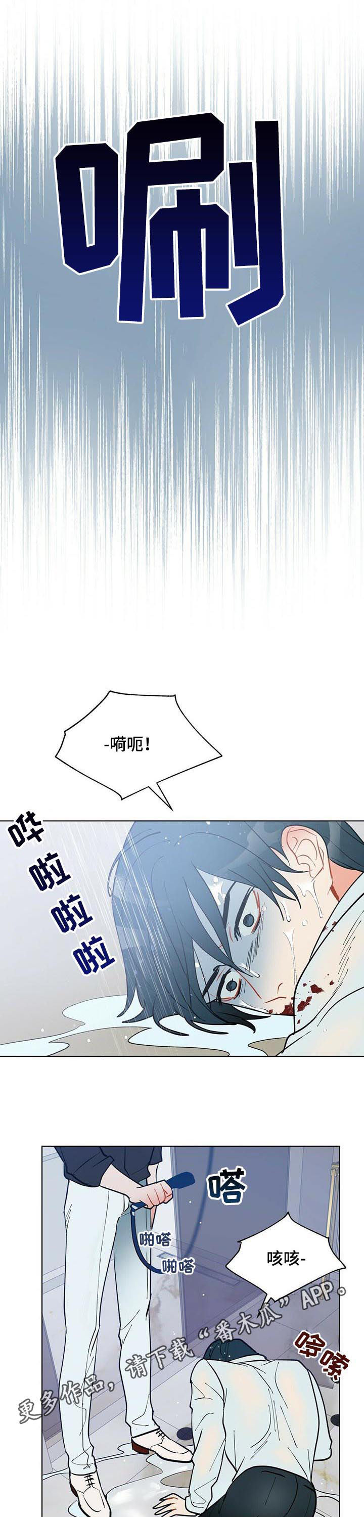 黑盾网络资源网漫画,第51章：赶紧许愿1图