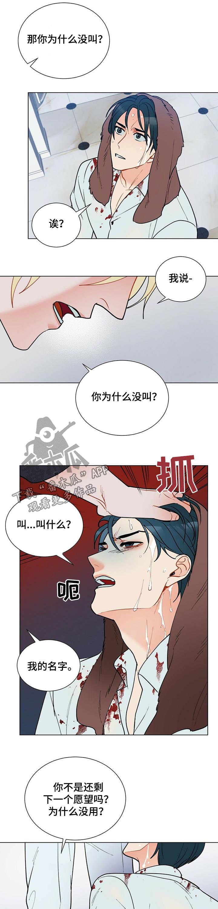 黑盾网络资源网漫画,第51章：赶紧许愿5图