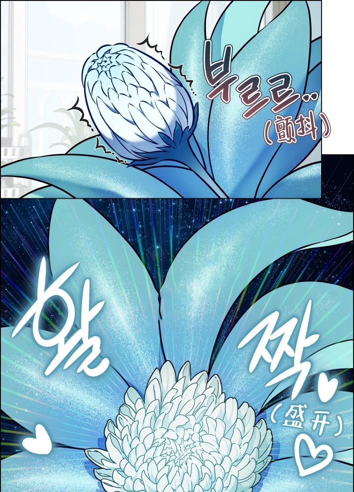 植物疗法治疗水肿漫画,第10话1图