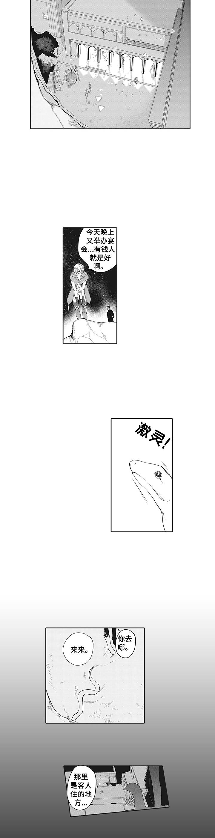 第13章：冲动1