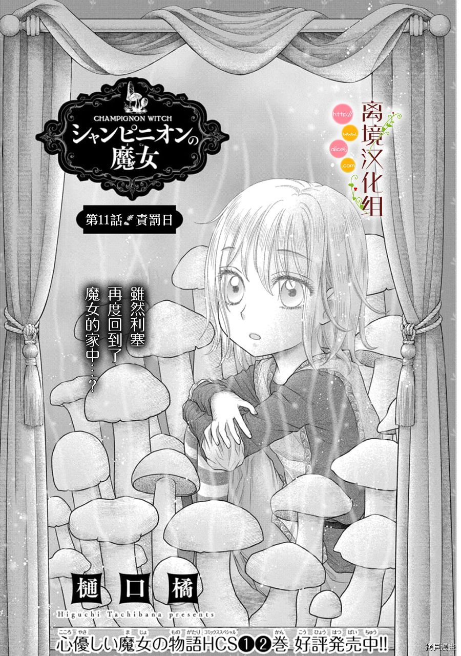 毒魔蘑菇视频漫画,第11话1图