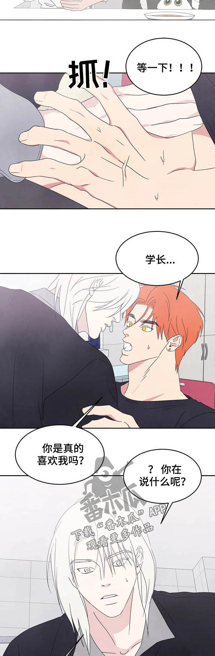 喜欢特别的他漫画,第28章：什么关系5图