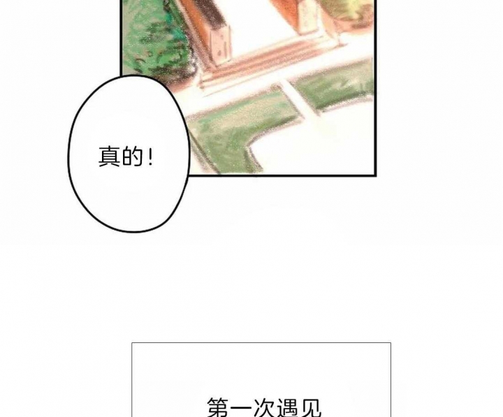开心的肖像(第I+II季)漫画,第9话3图