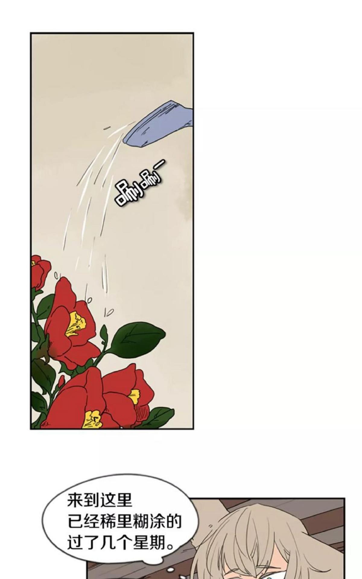 狐狸的枷锁漫画,第56话1图