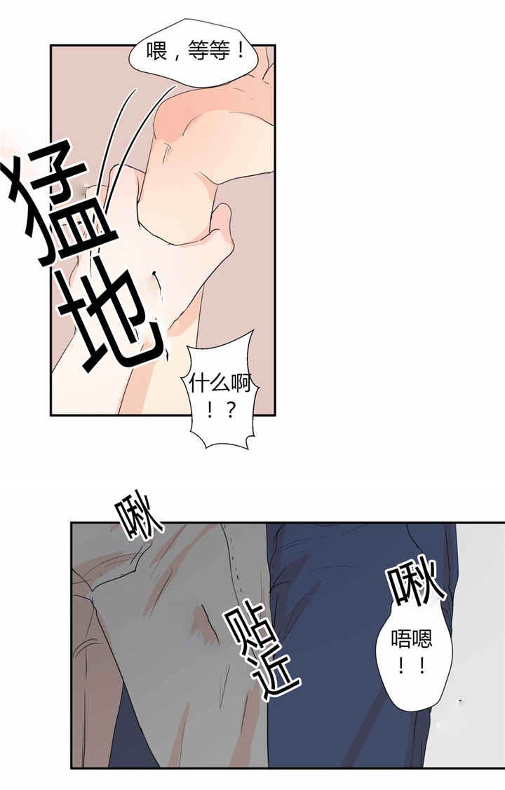 背对背漫画,第40章：我喜欢你3图
