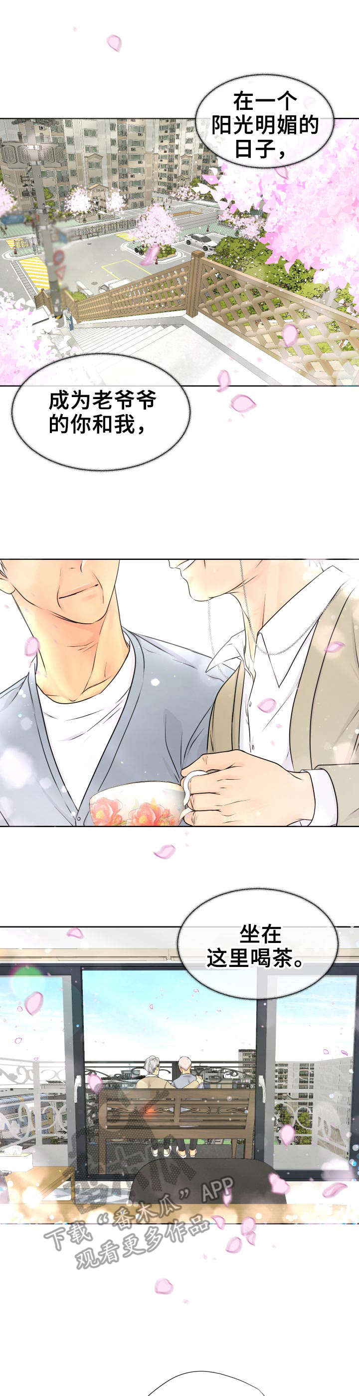 第19章：开始行动0