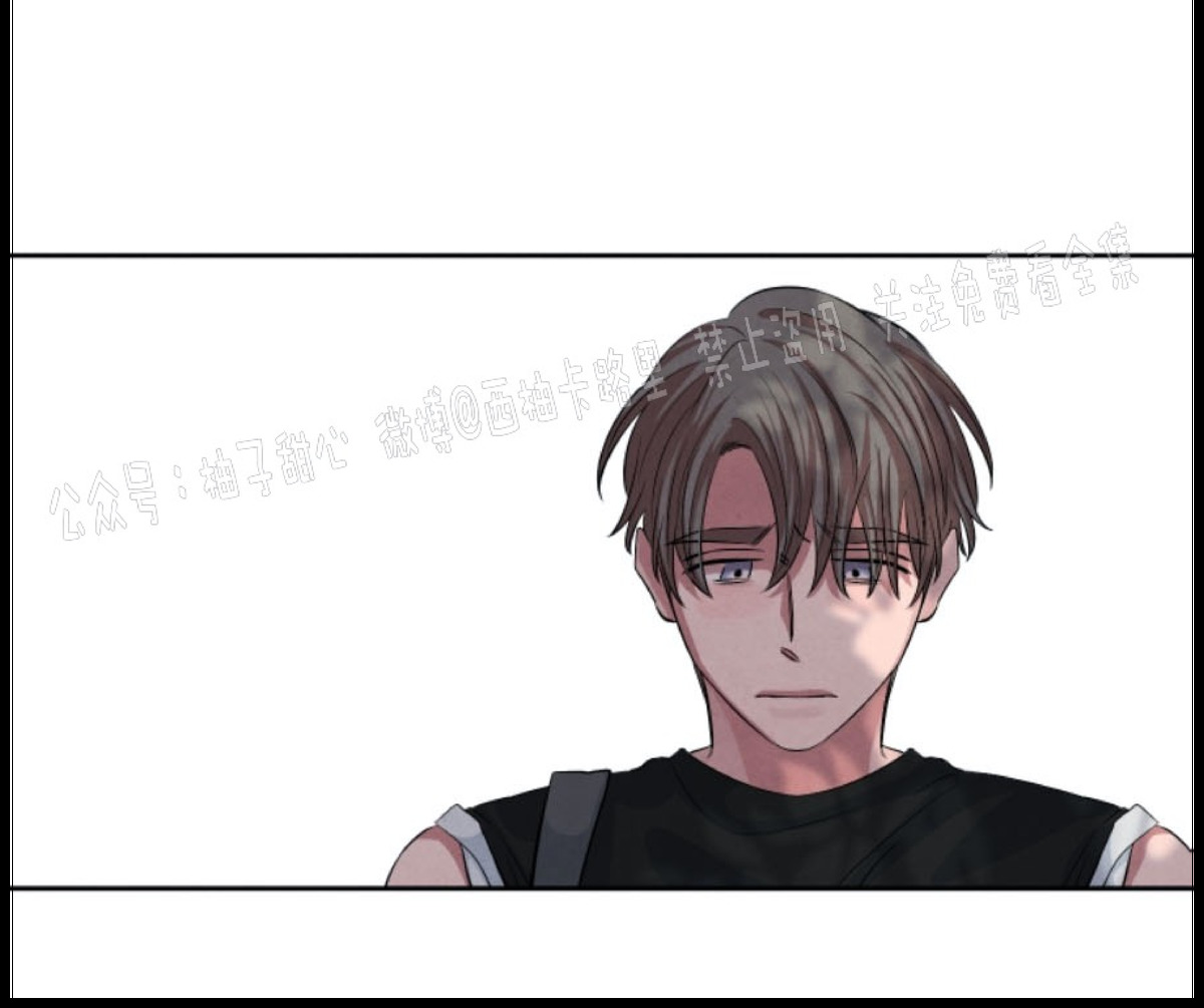 珊瑚绽放过程漫画,第38话5图