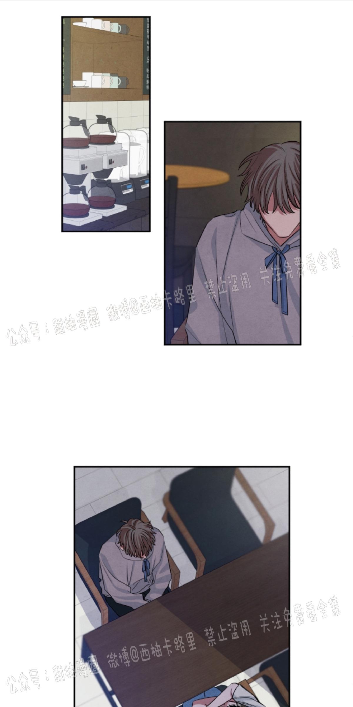 珊瑚的美体现在哪漫画,第42话1图