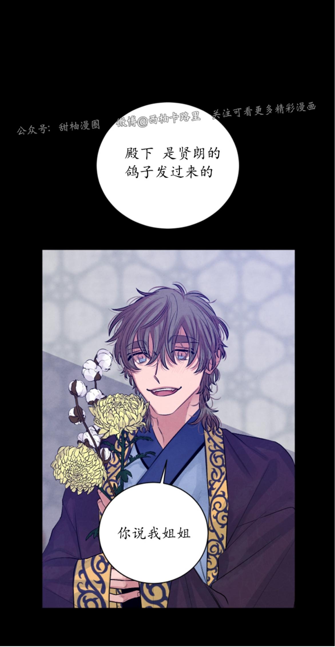珊瑚绽放过程漫画,外传105图