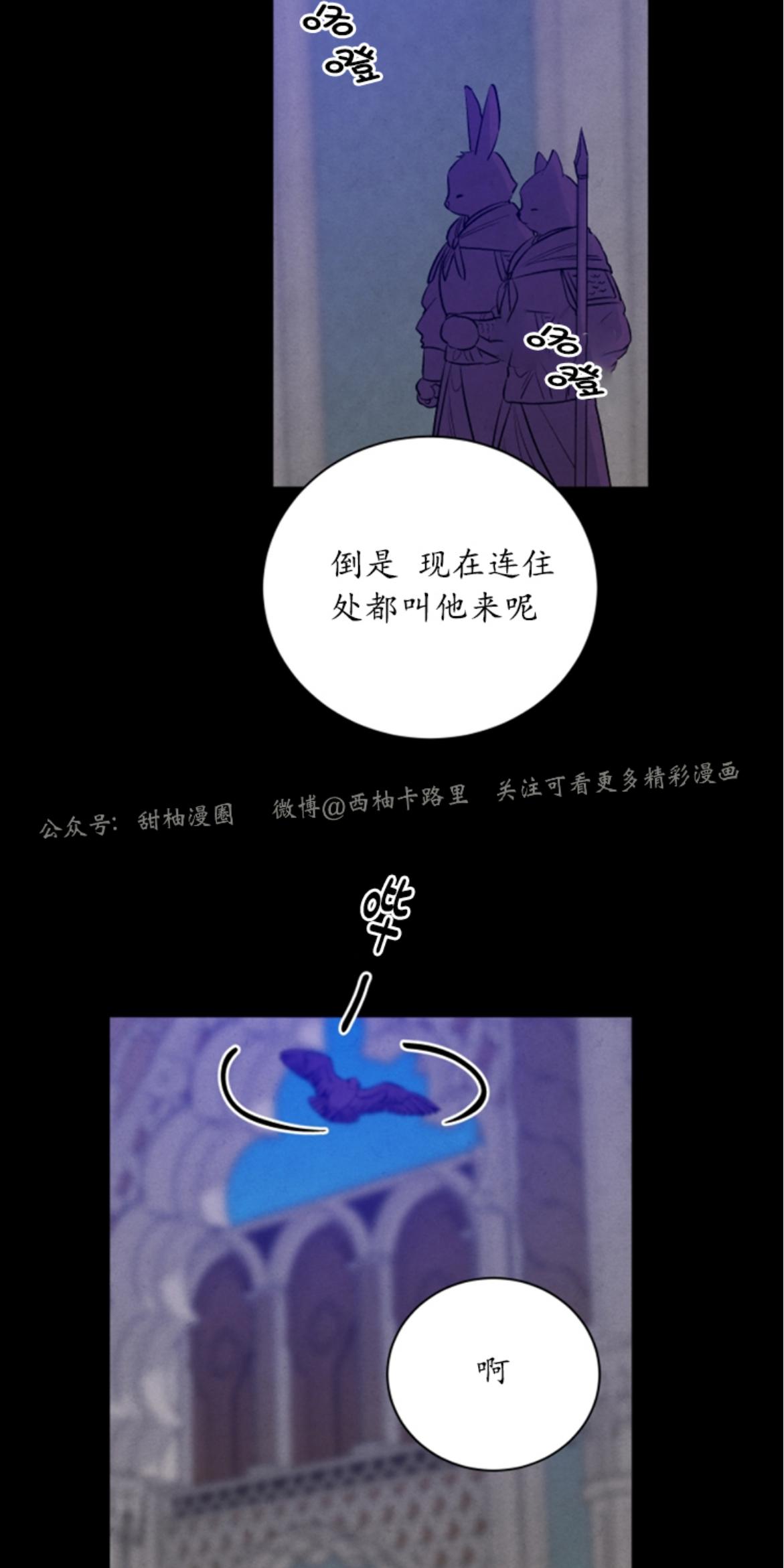 珊瑚绽放过程漫画,外传102图