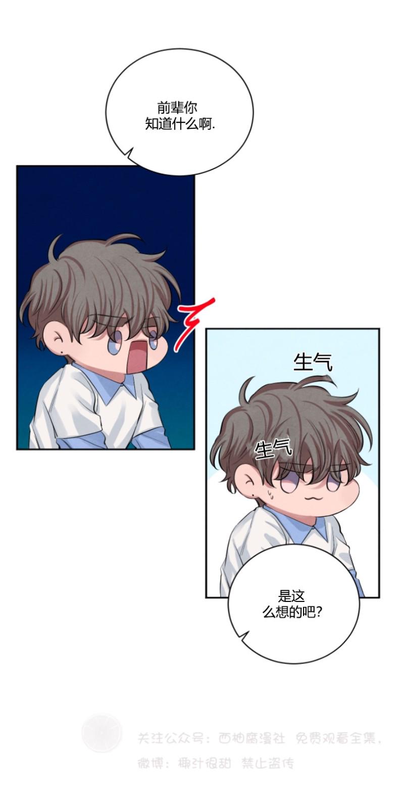 珊瑚的美体现在哪漫画,第13话4图